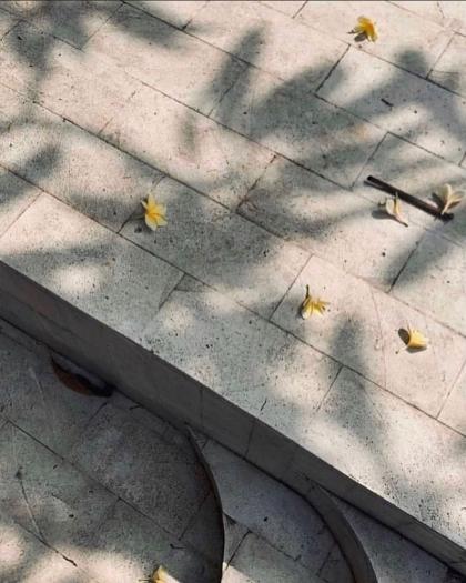 Katalina Gomez photo 19346