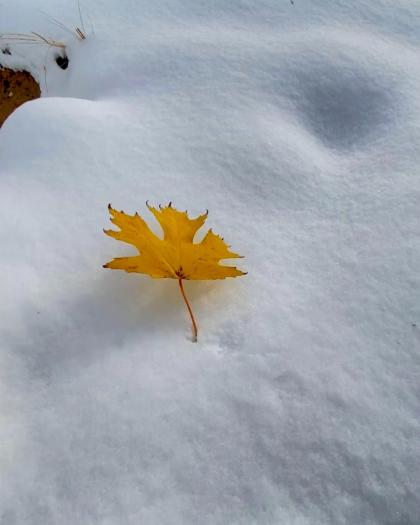 Katalina Gomez photo 19350