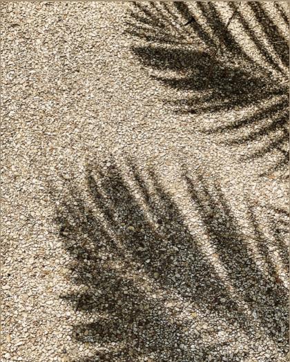 Katalina Gomez photo 19392