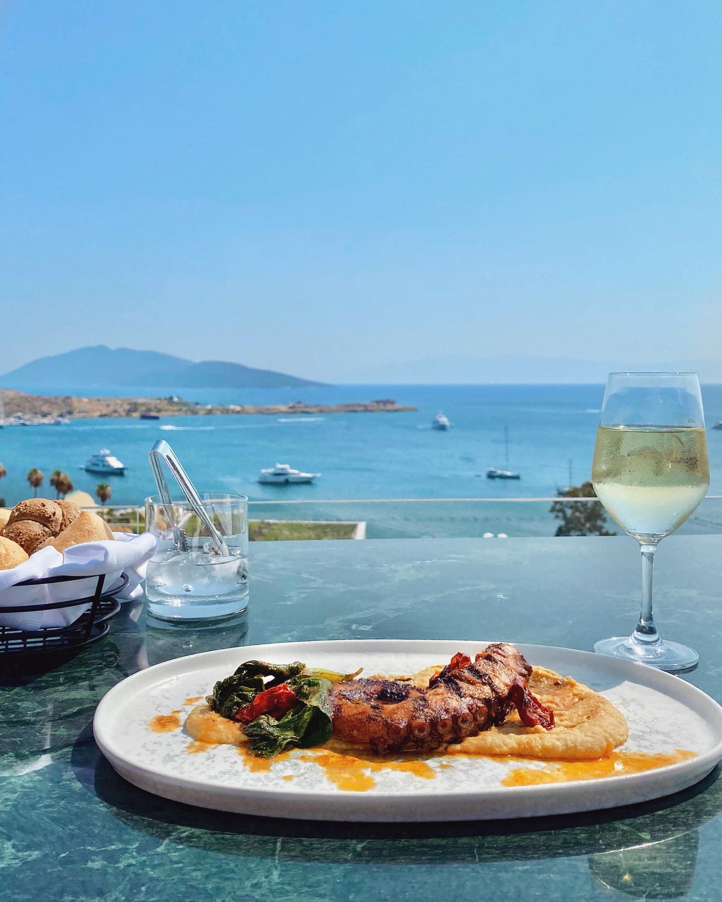 Natalya Gubner #20116