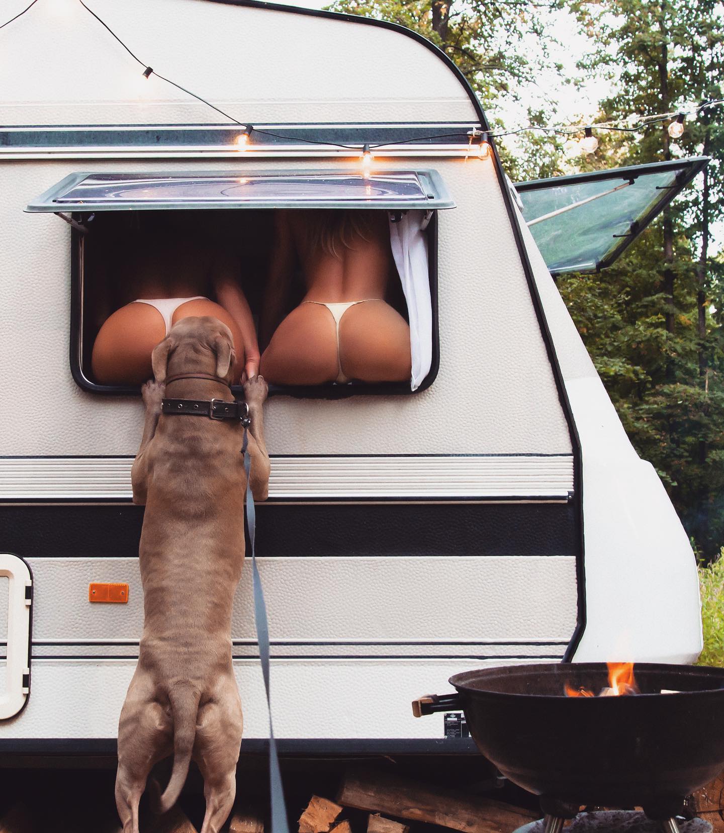 Natalya Gubner #20118