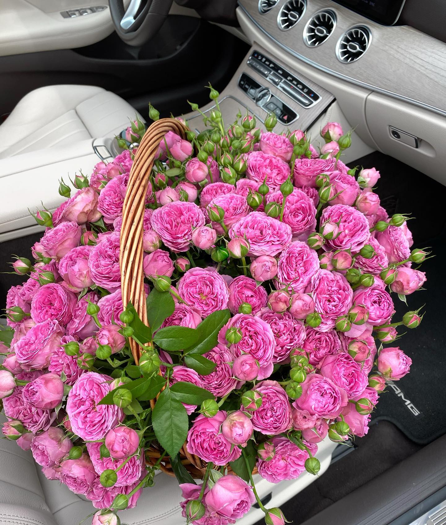 Natalya Gubner #20122