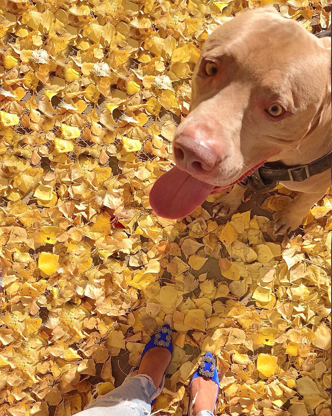 Natalya Gubner #20157