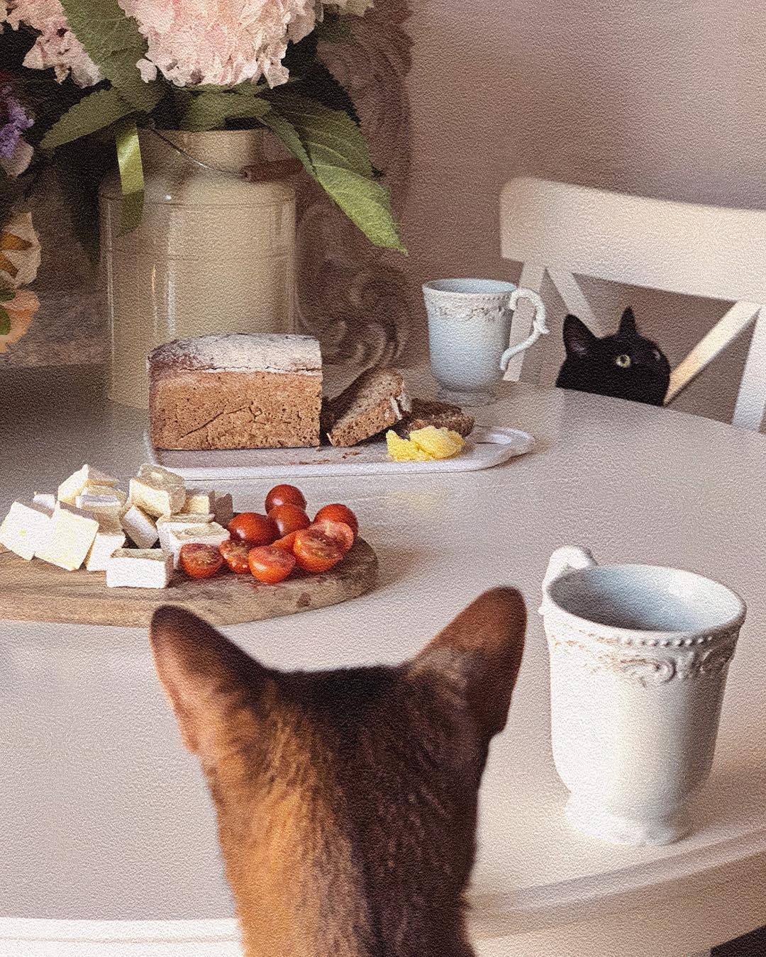 Natalya Gubner #20163