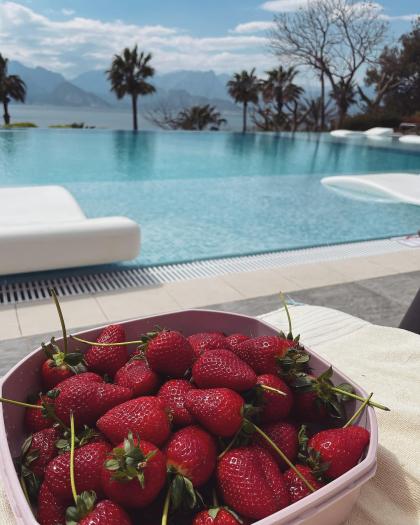 Natalya Gubner photo 20107