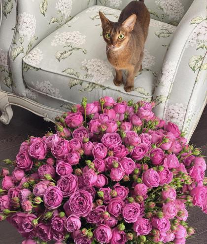 Natalya Gubner photo 20111