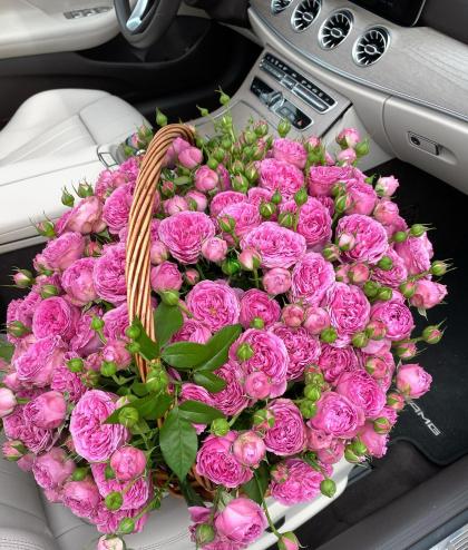 Natalya Gubner photo 20122