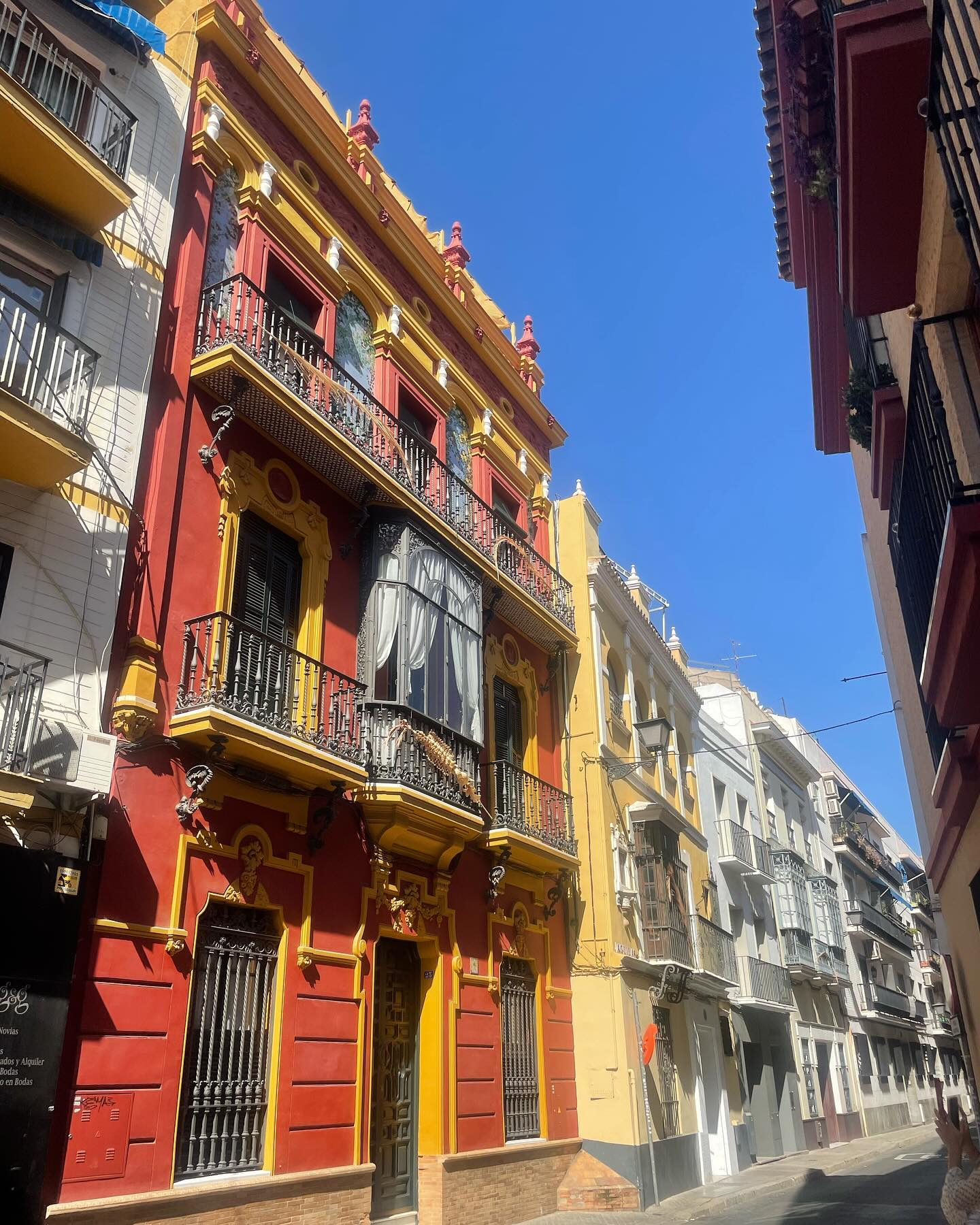 Sienna Kolesnyk #21505