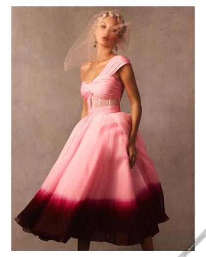 Bella Hadid photo 260238