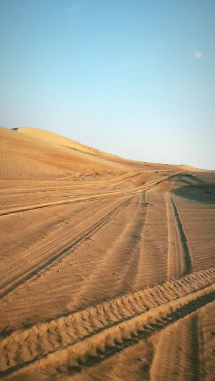 Michelle Cherie photo 30861