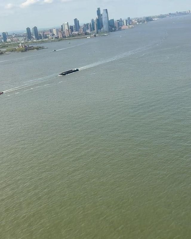 Mirbelys Pineda #56640