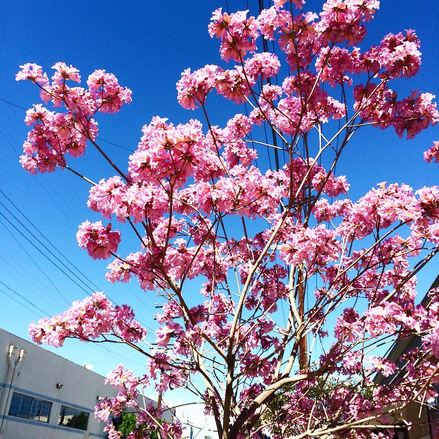 Keeley Hazell #59843
