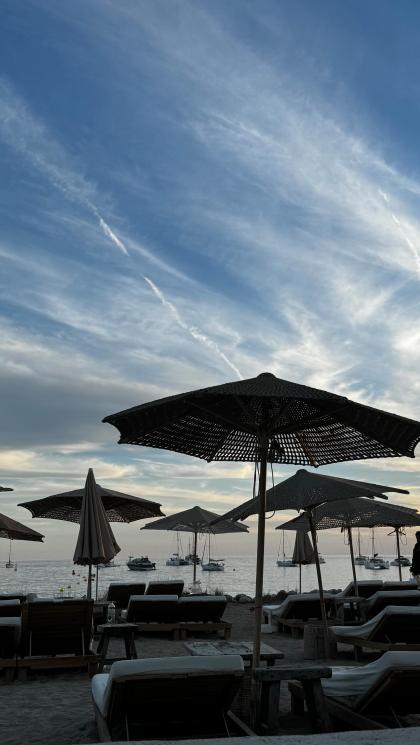 Carolina Cardoso photo 60073