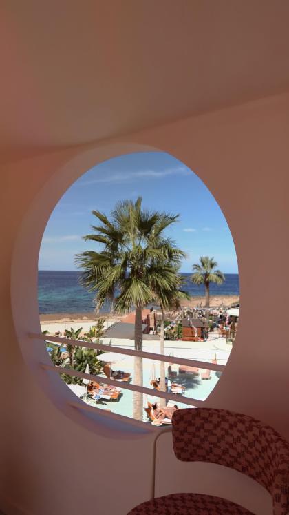 Carolina Cardoso photo 60077