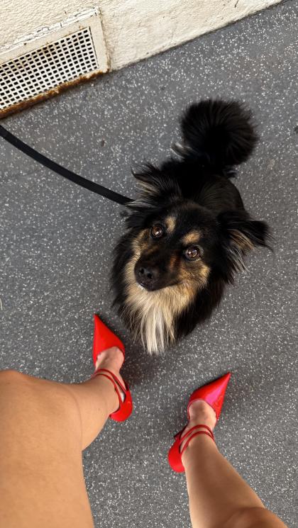 Carolina Cardoso photo 60088