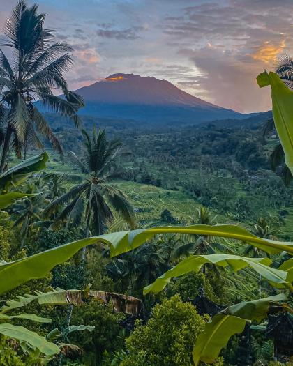 Adriane Kailyn photo 319