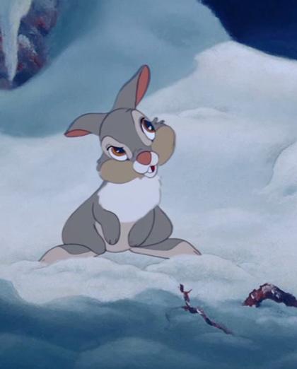 Uresa Zogu photo 25547