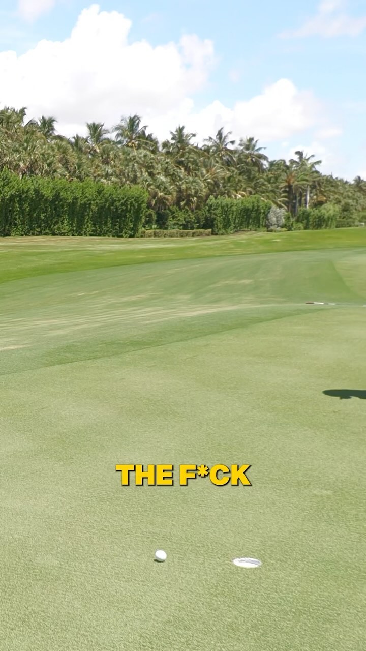 Patrycia Kayy #57478