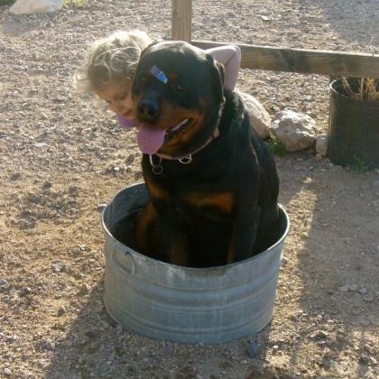 Melissa Hutchison photo 26140