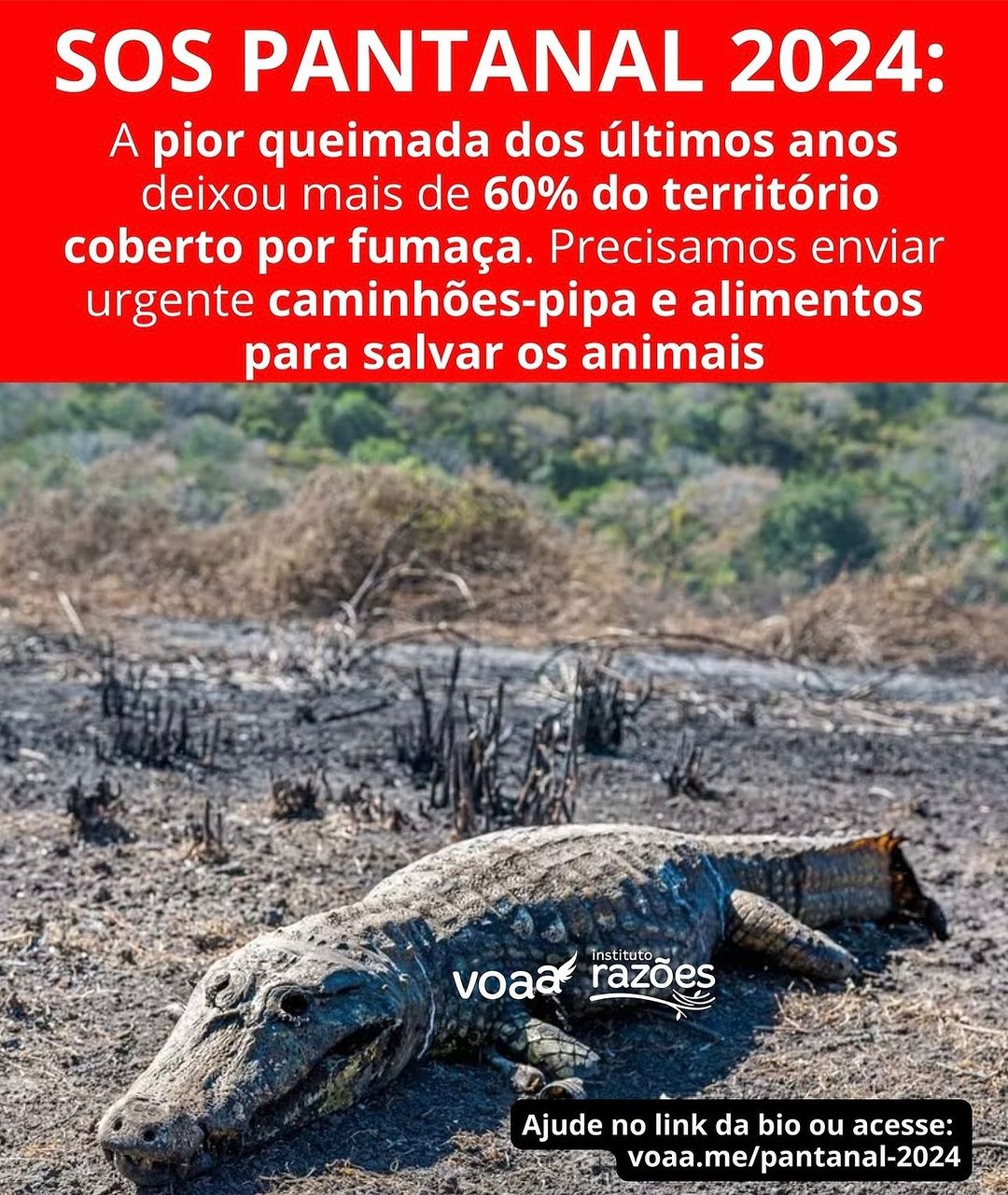 Gracyanne Barbosa #26181