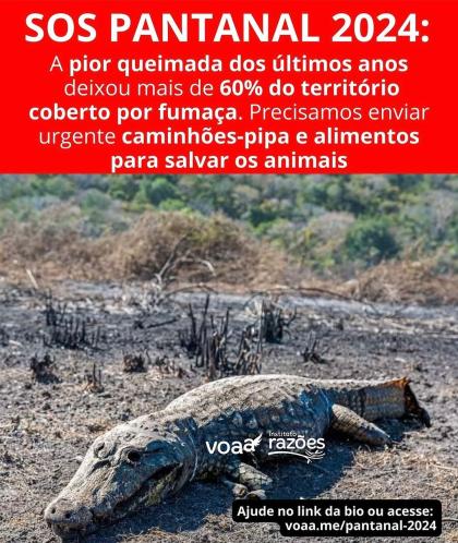 Gracyanne Barbosa photo 26181