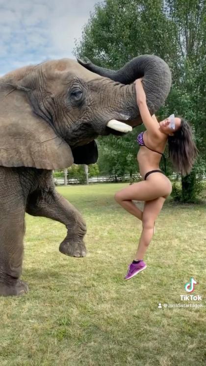 Luna Star photo 26389