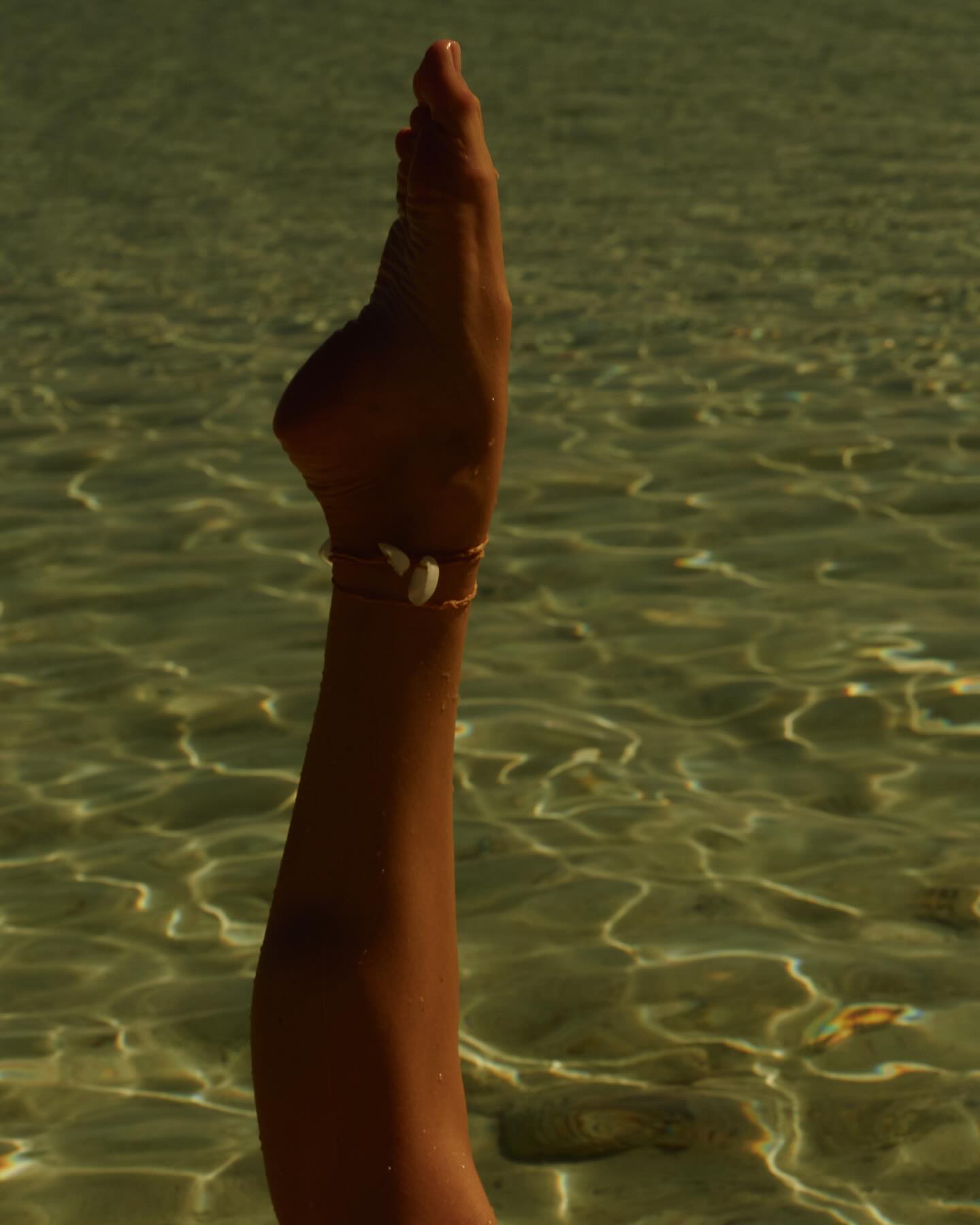 Candice Swanepoel #27096