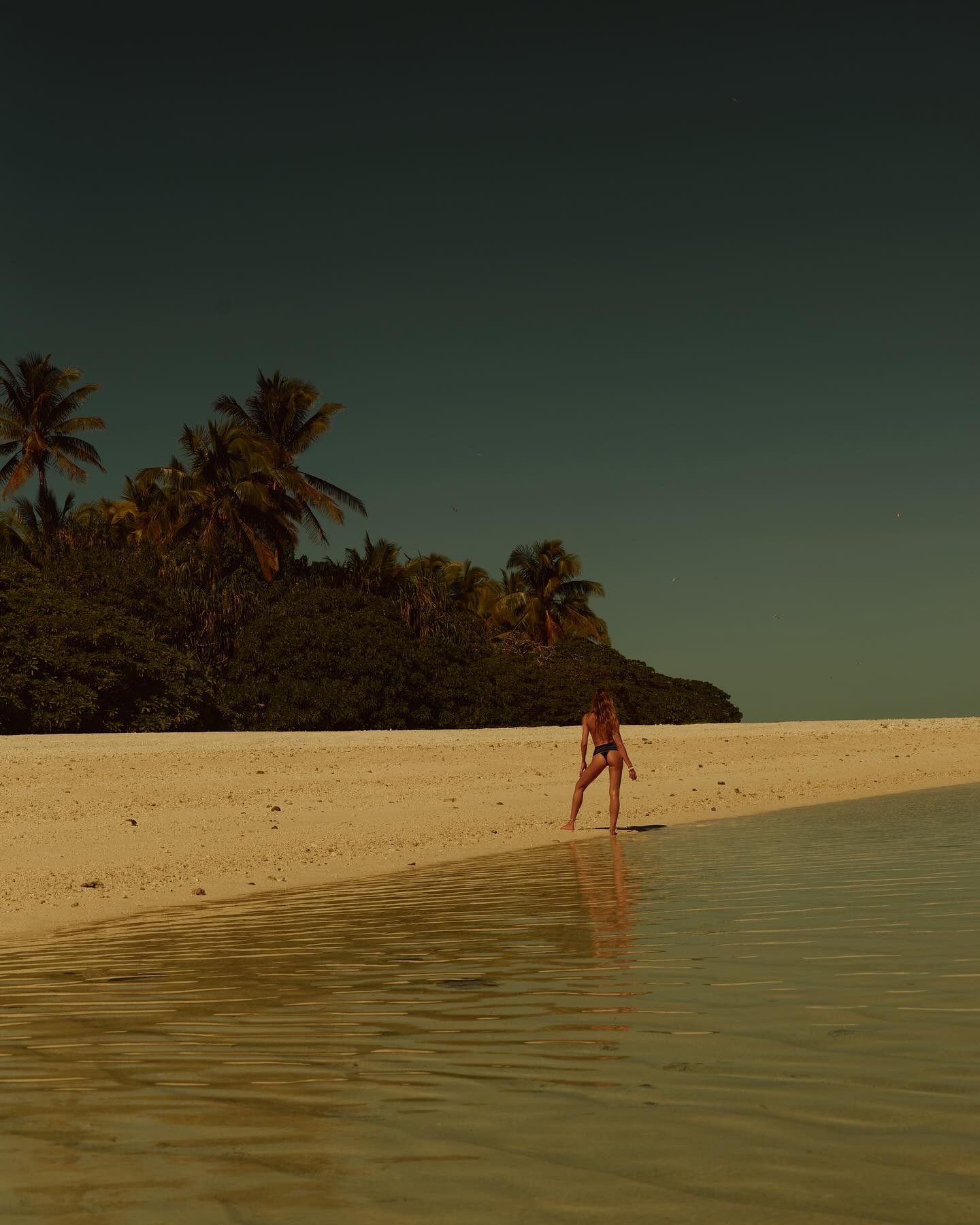 Candice Swanepoel #27098