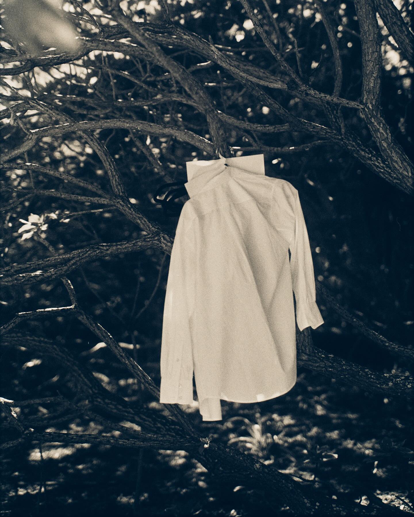 Candice Swanepoel #27104