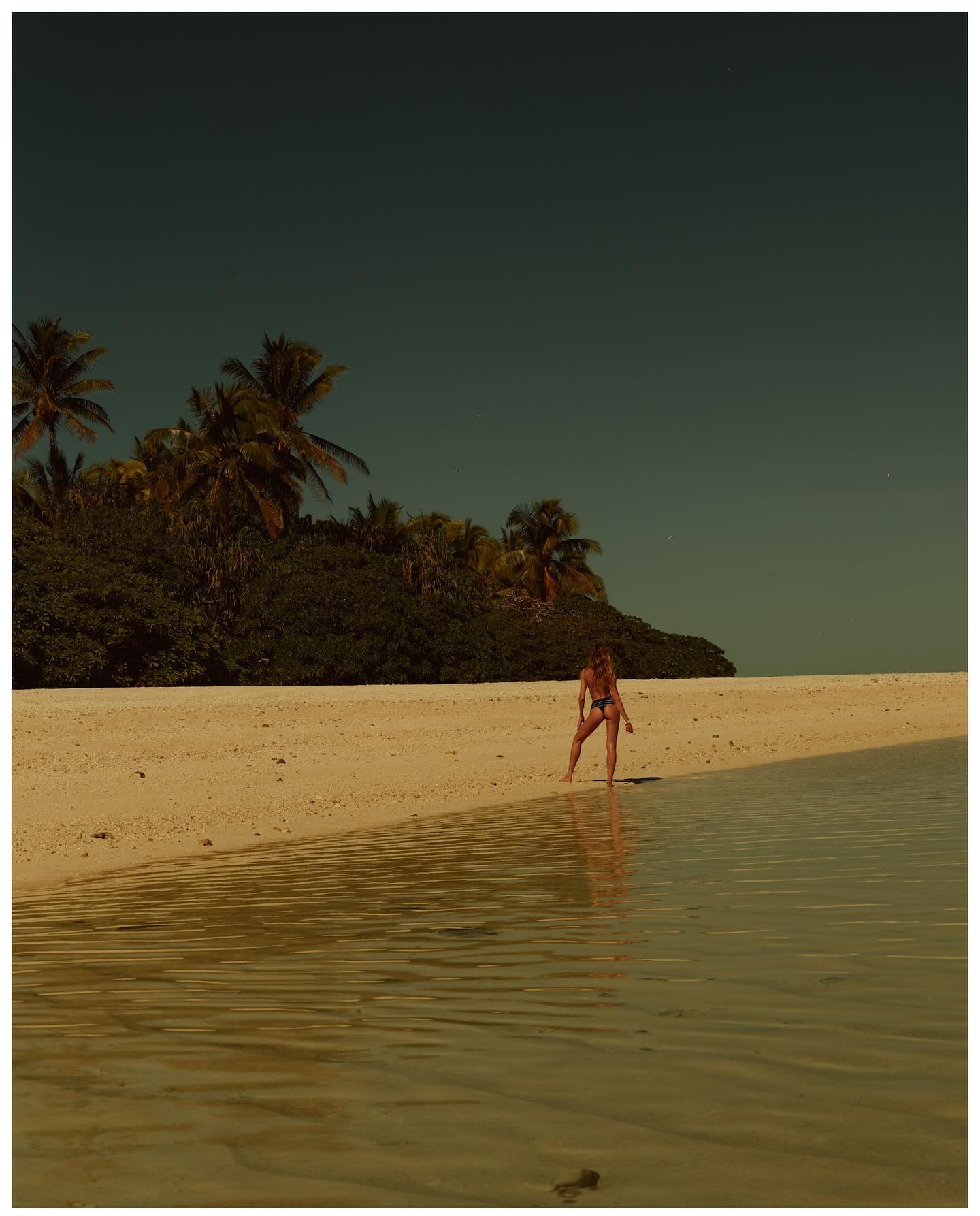 Candice Swanepoel #27163