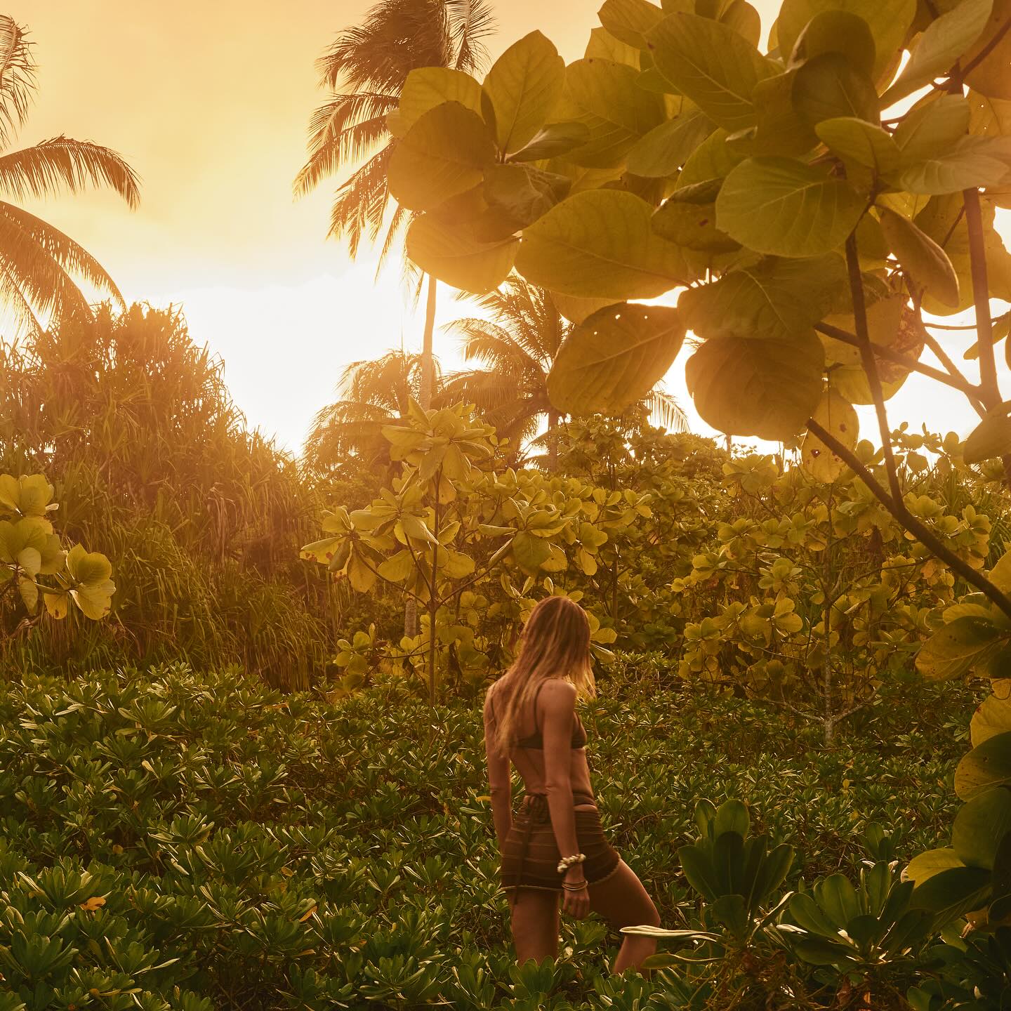 Candice Swanepoel #27165