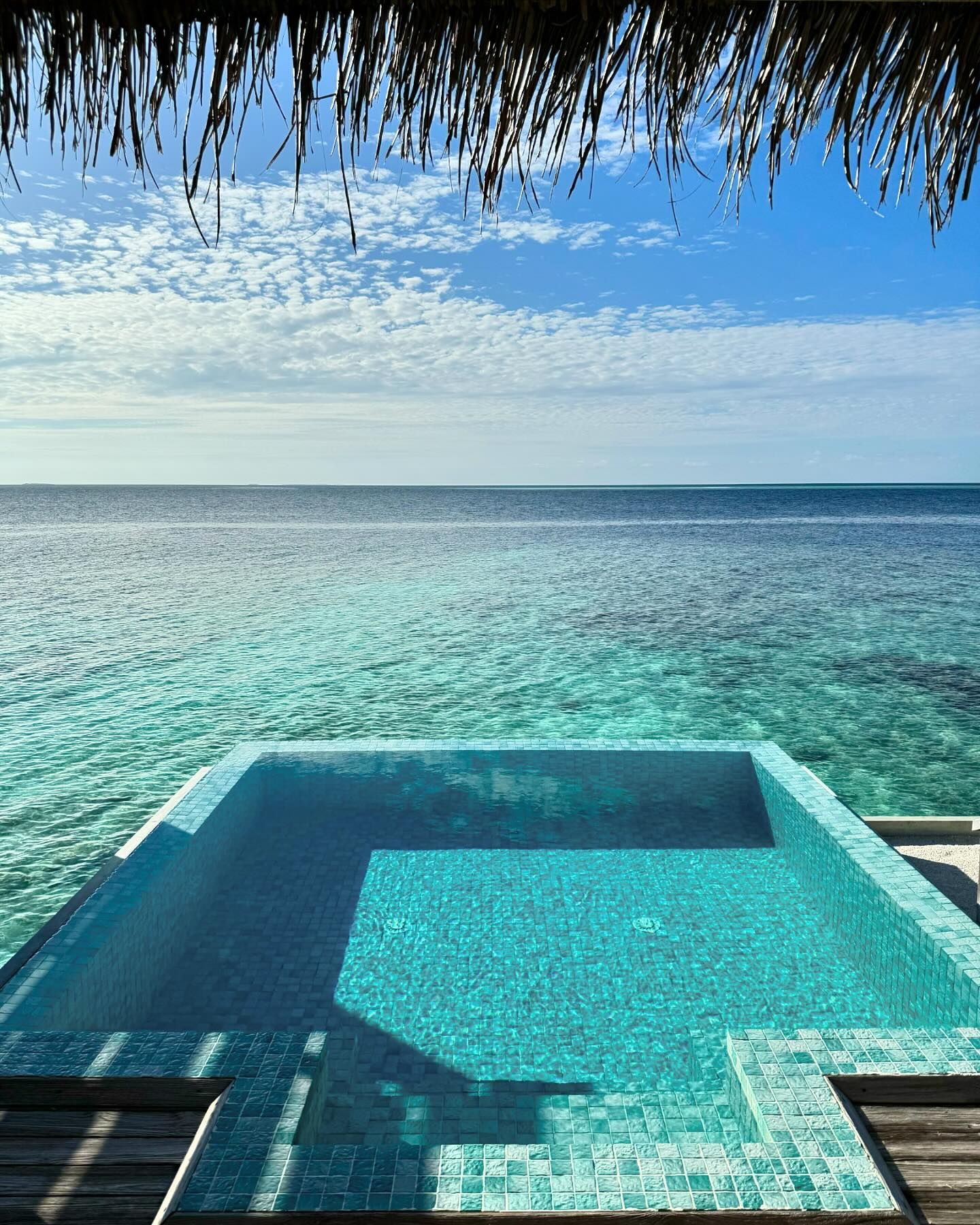 Marina Nabokina #7330