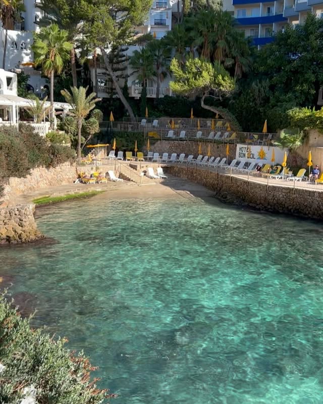 Mariam Olivera #63788