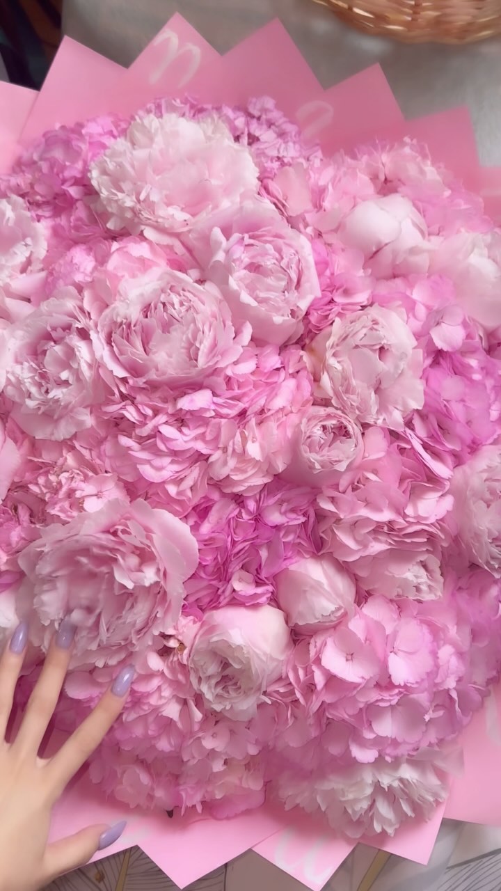 Kristina Volkova #64135