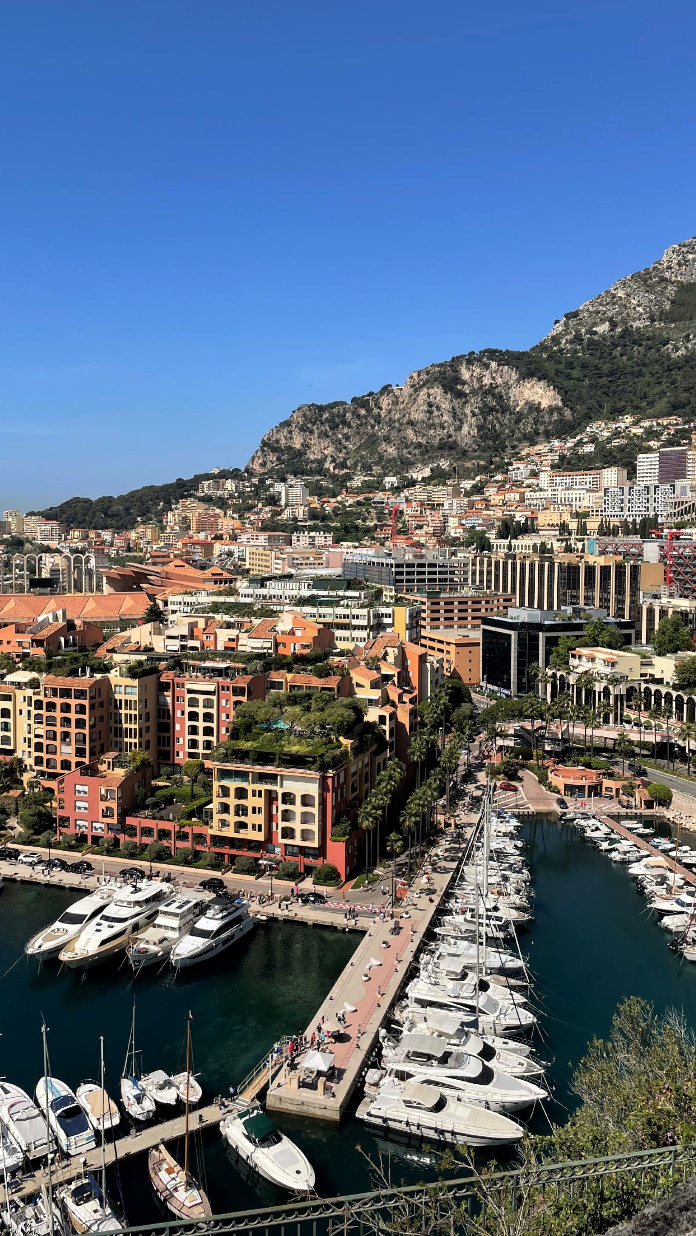 Anastasia Tailakova #64998