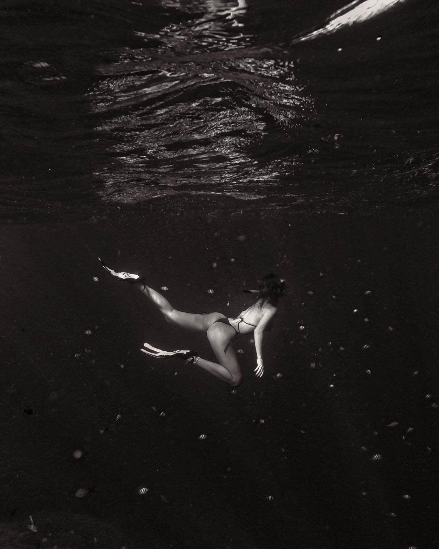 Julia Neezlaya #65180