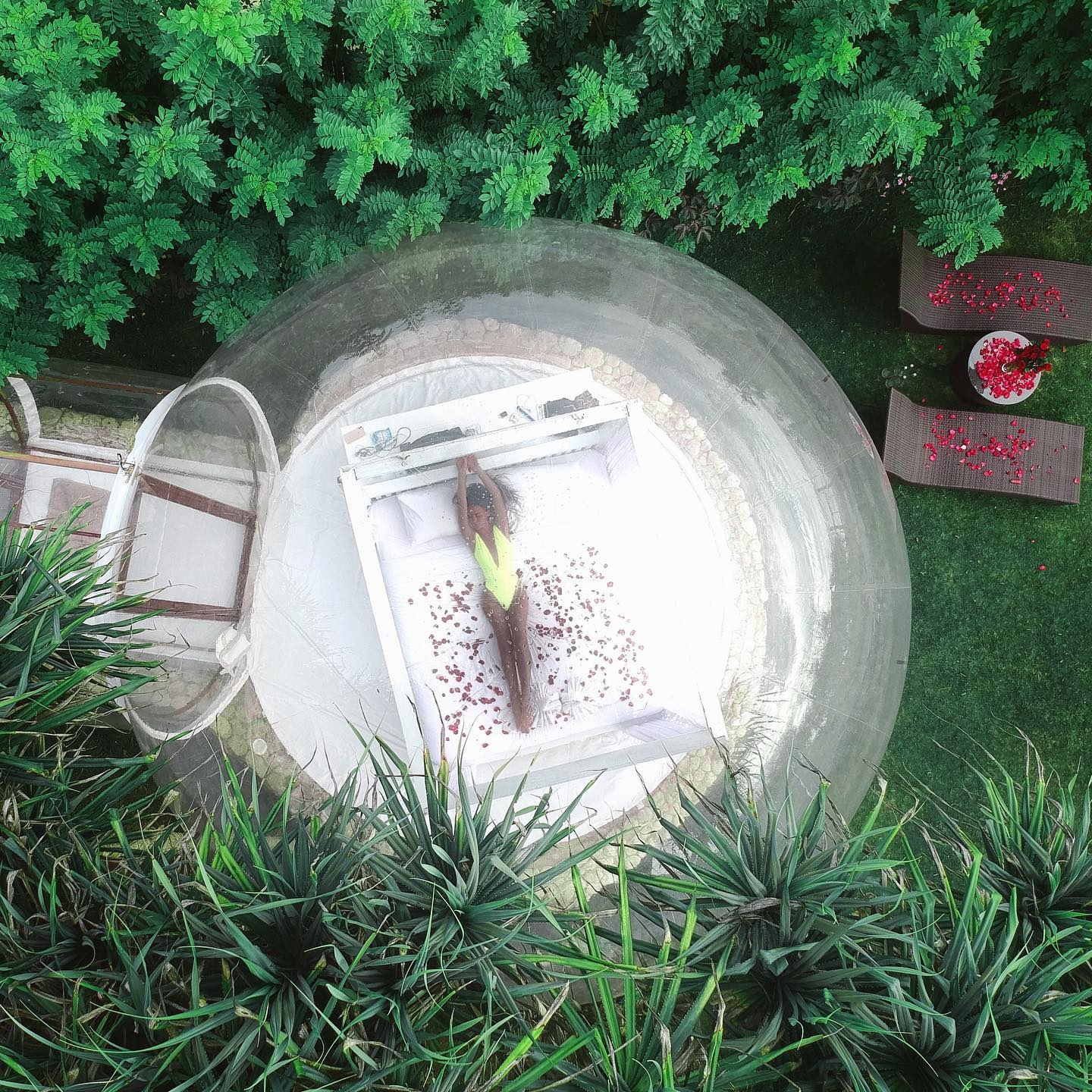 Julia Neezlaya #65211