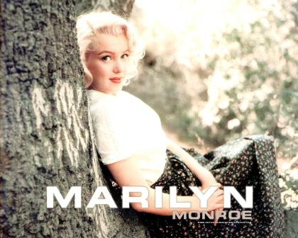 Marilyn Monroe photo 73384