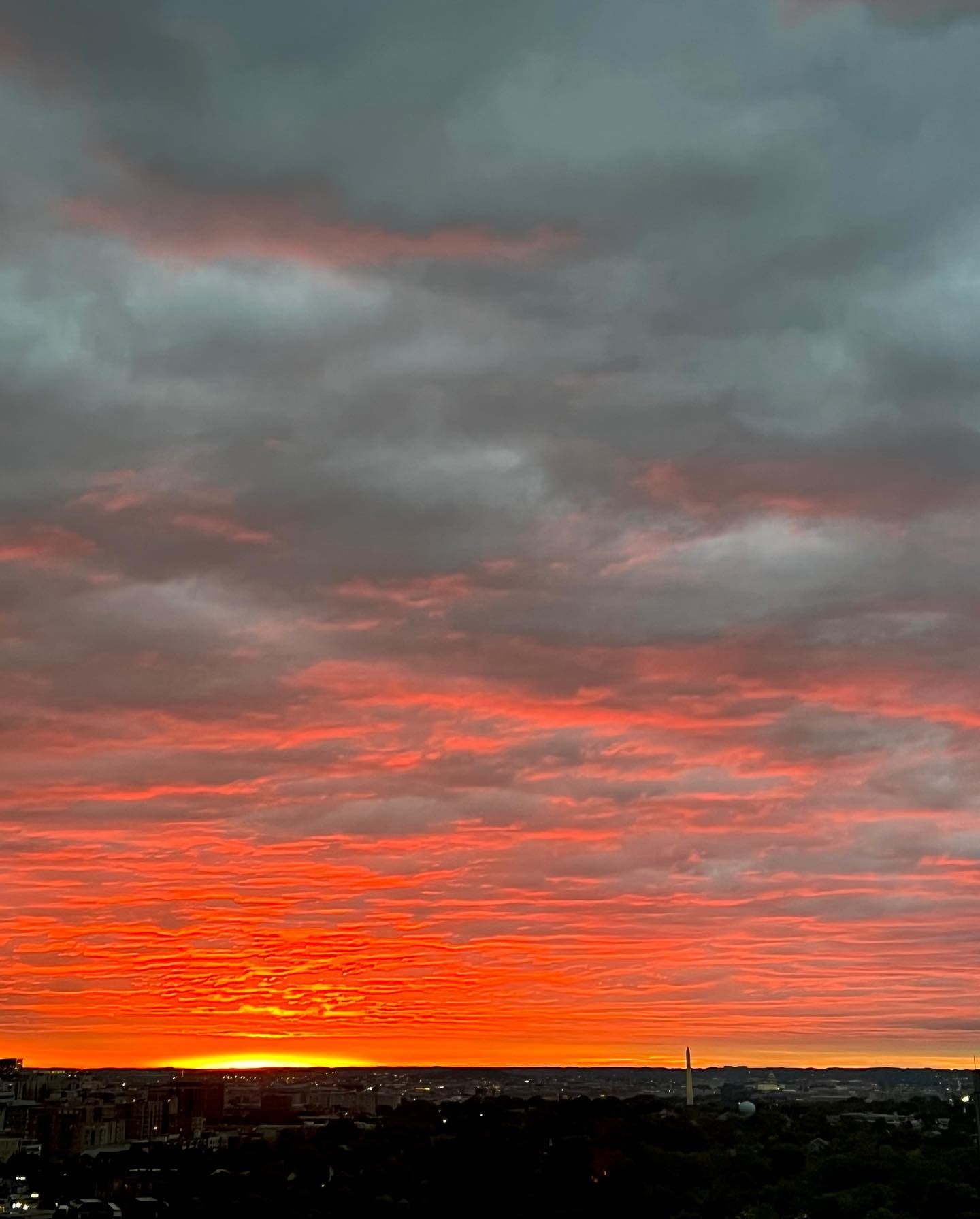 Sarah Houchens #69251