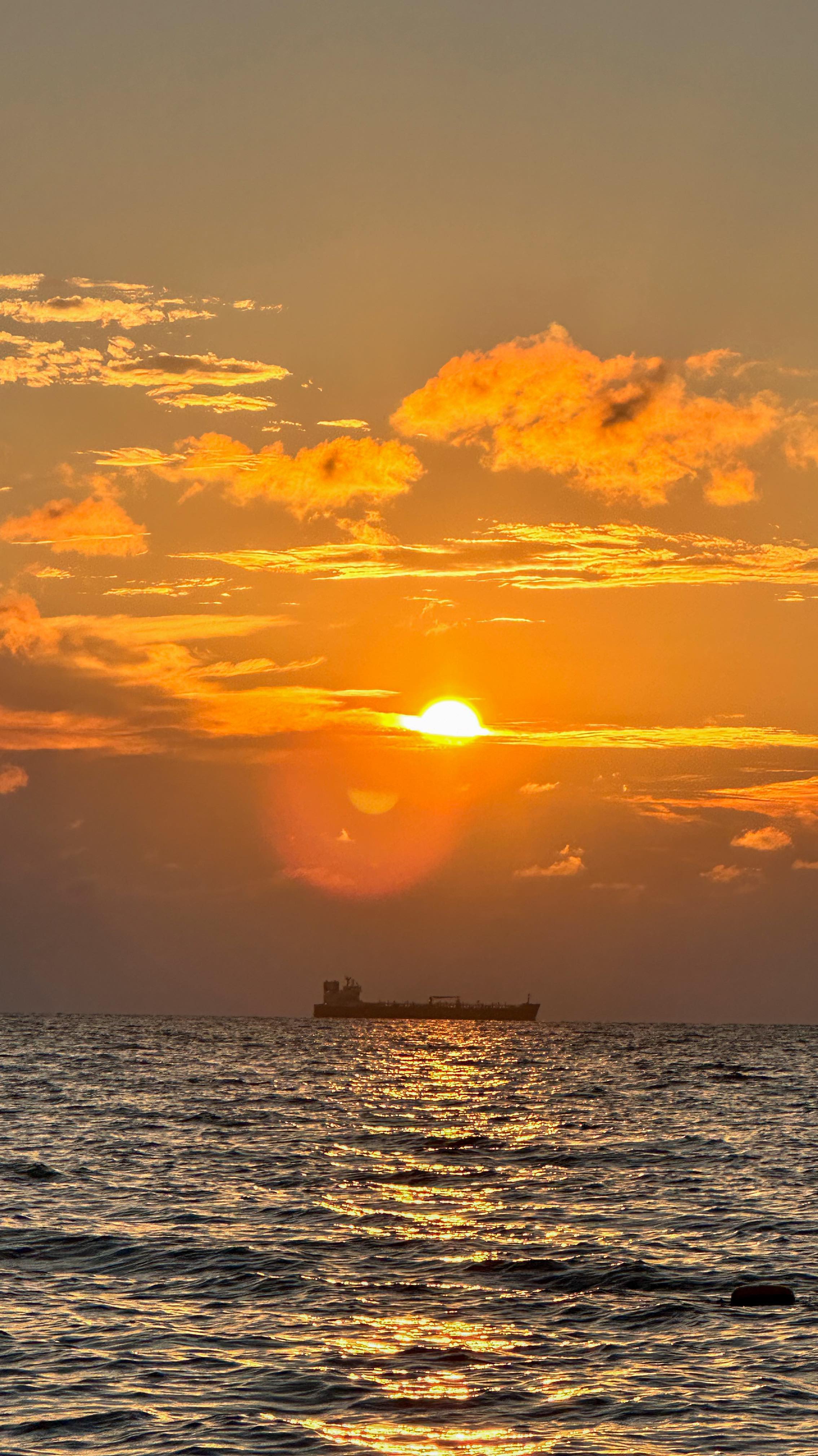 Valentina Garzon #4831