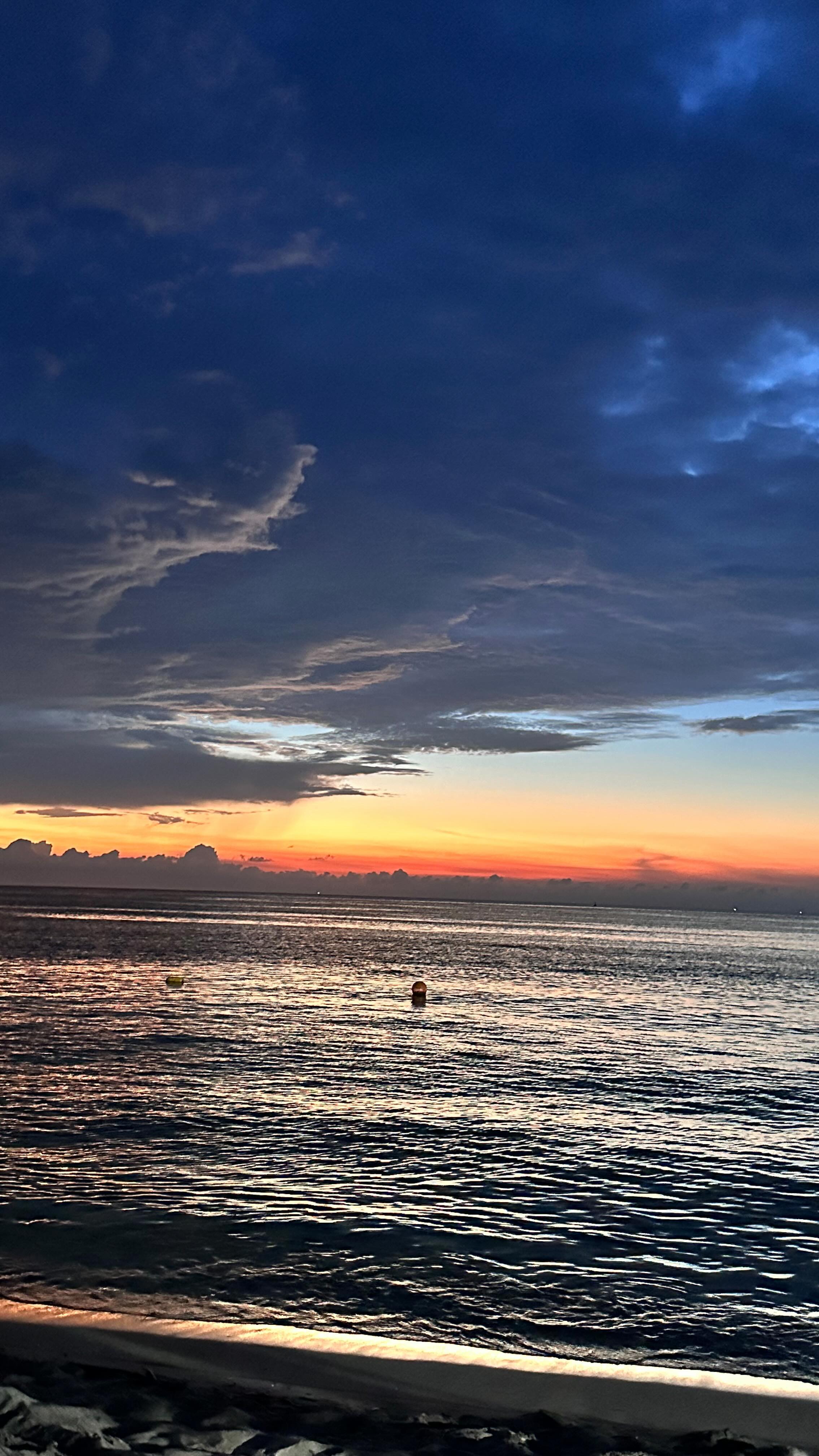 Valentina Garzon #4834