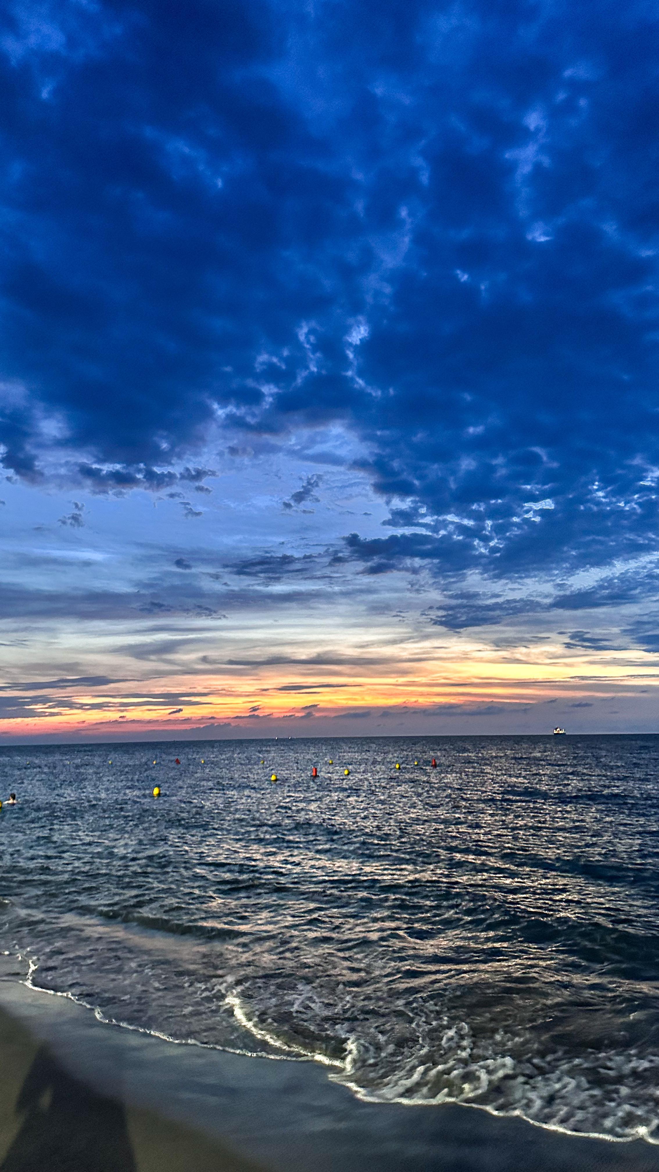 Valentina Garzon #4837