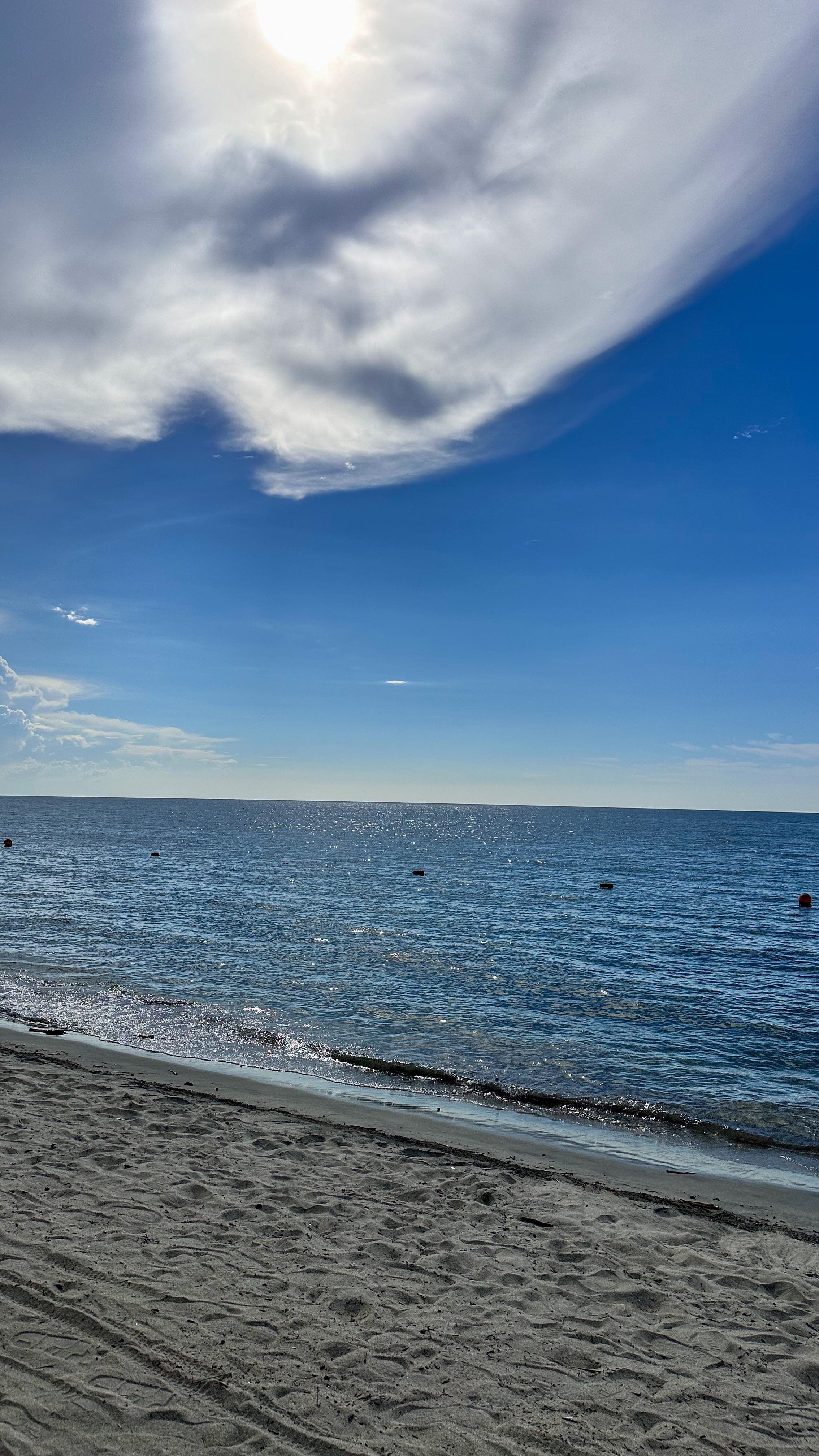 Valentina Garzon #4846