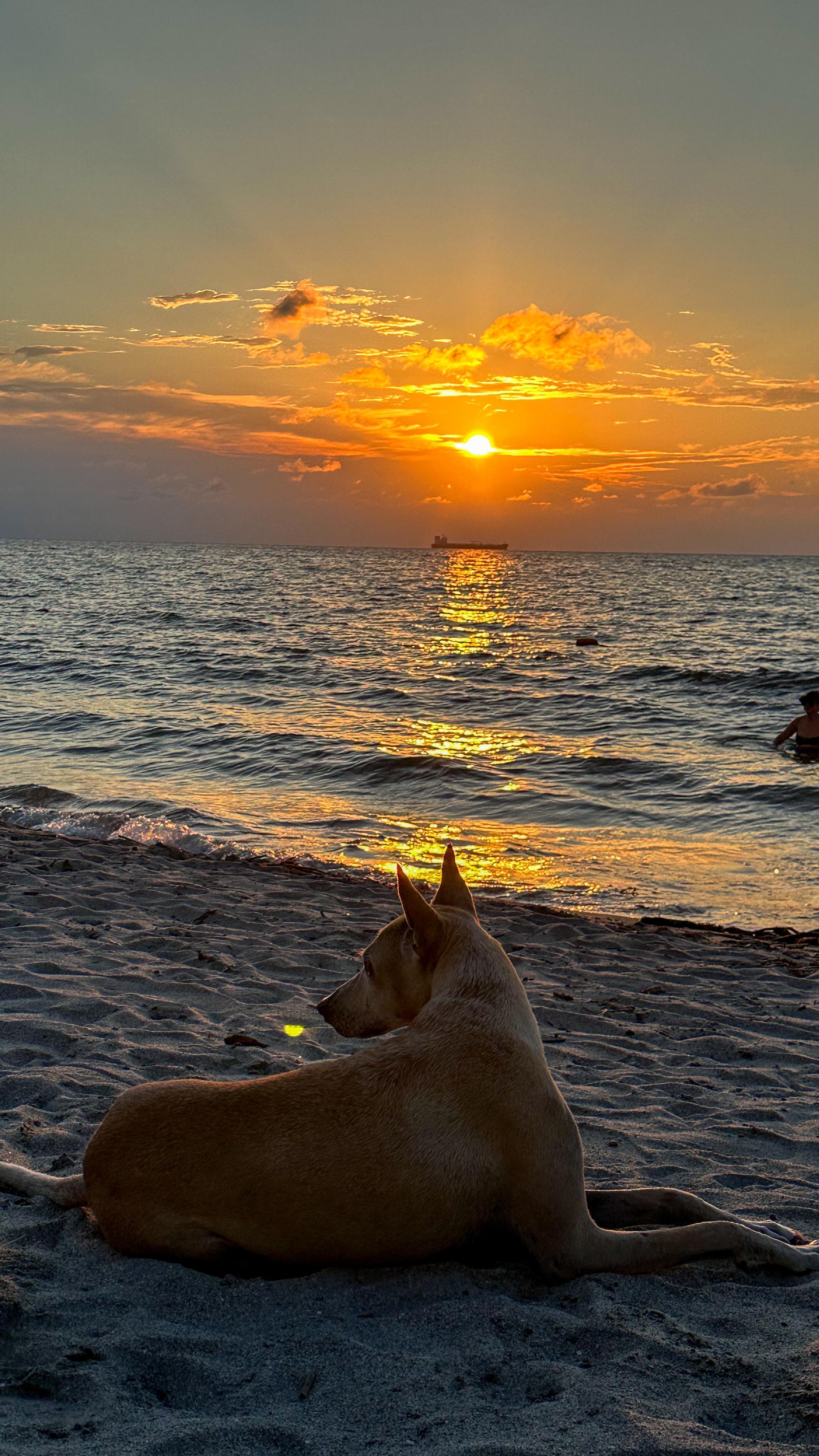 Valentina Garzon #4848