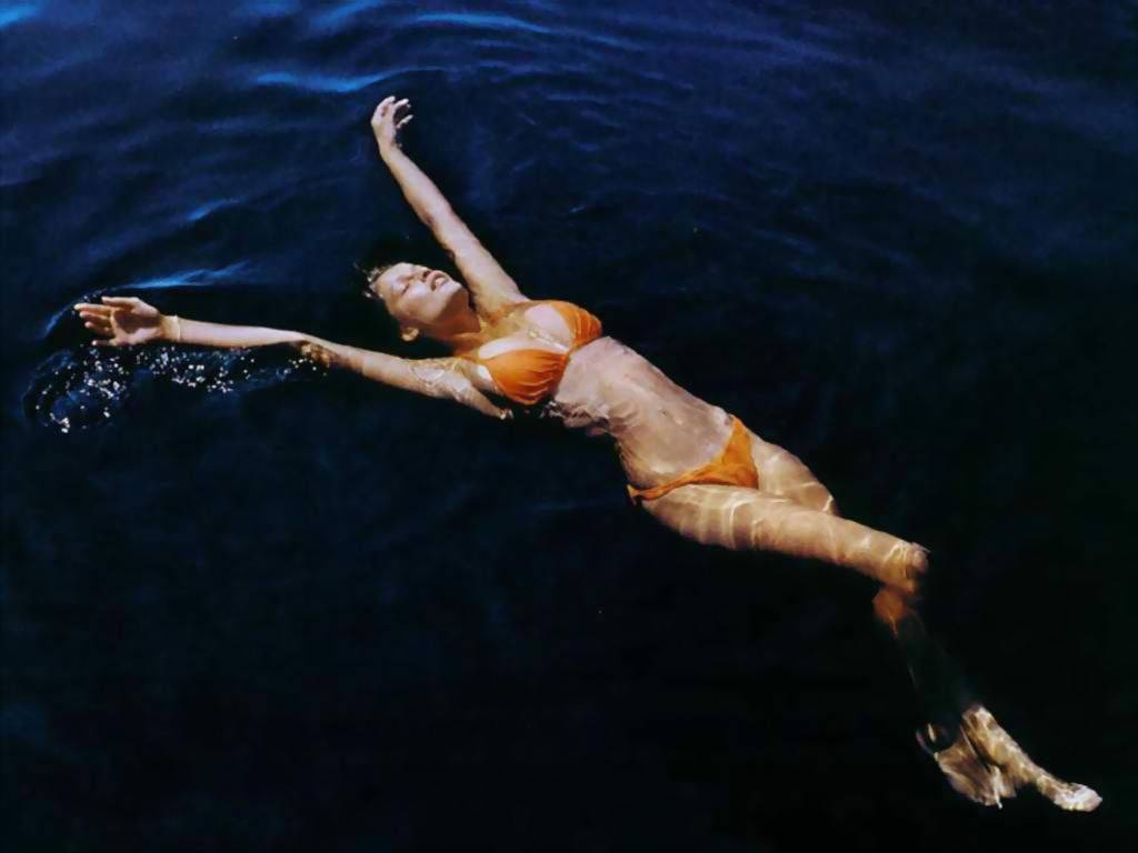 Laetitia Casta #82936