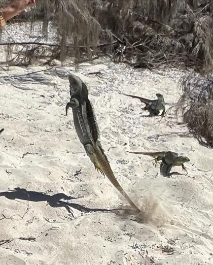 Juanita JCV photo 5019