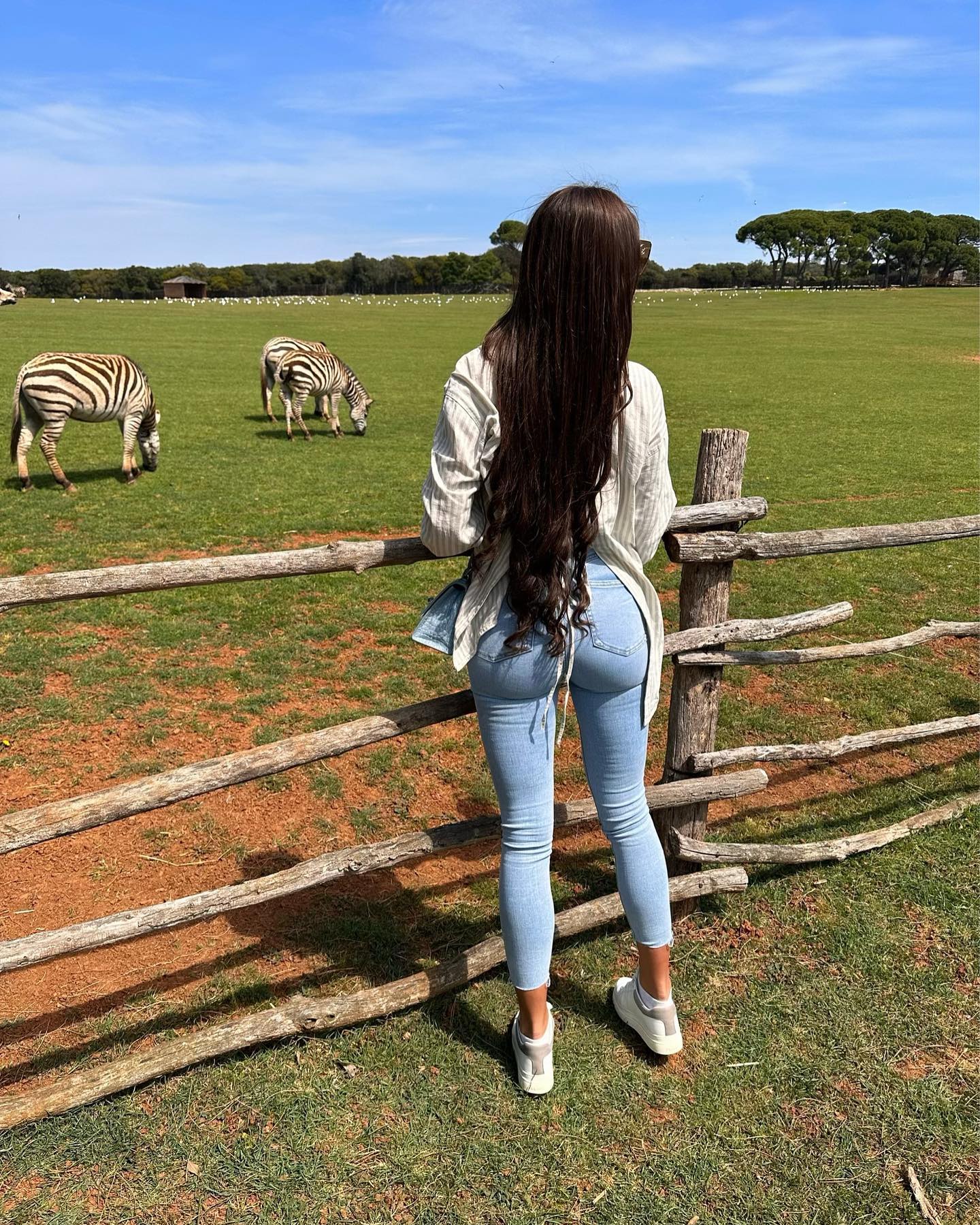 Marija Meglaj #70724