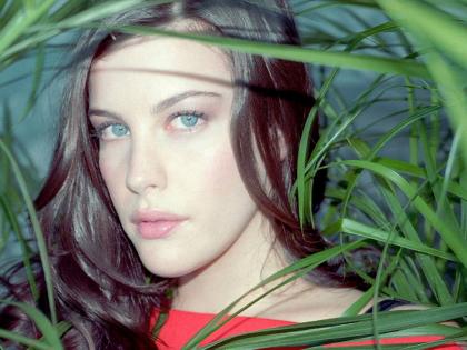 Liv Tyler photo 83521