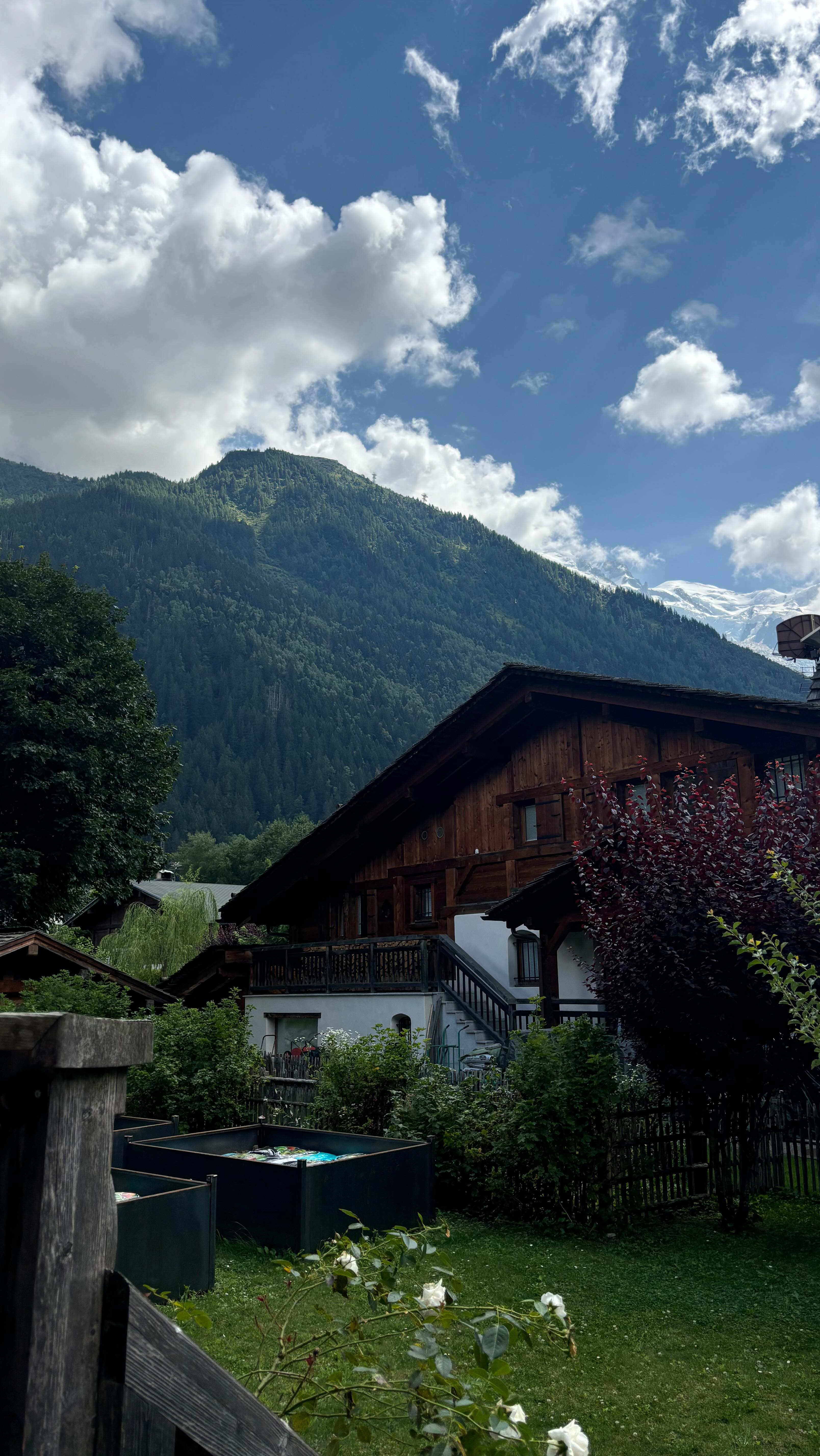 Ana Paula Saenz #5186