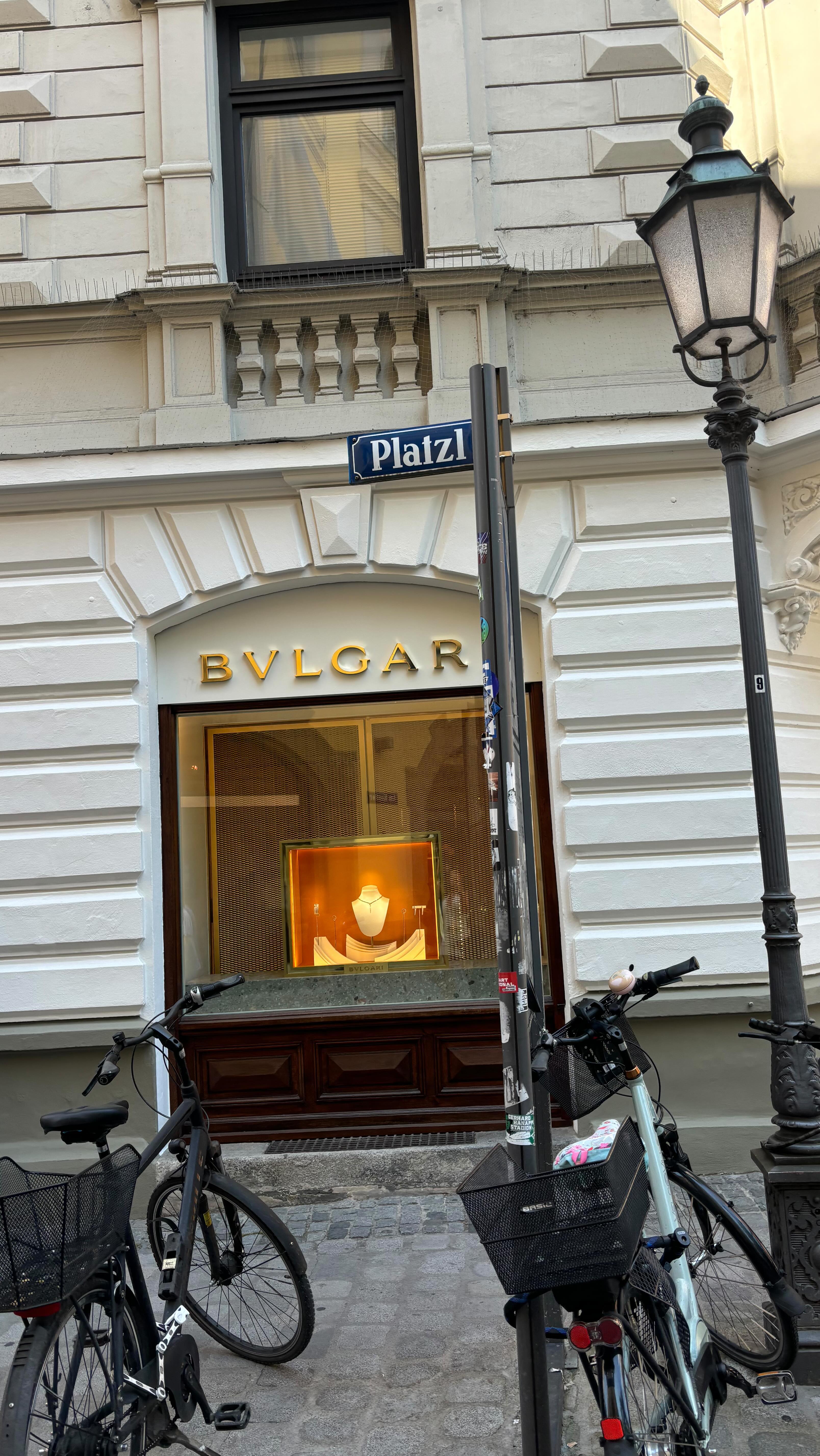 Ana Paula Saenz #5188